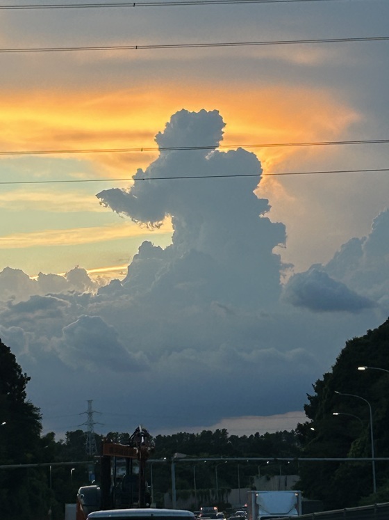 お知らせの画像